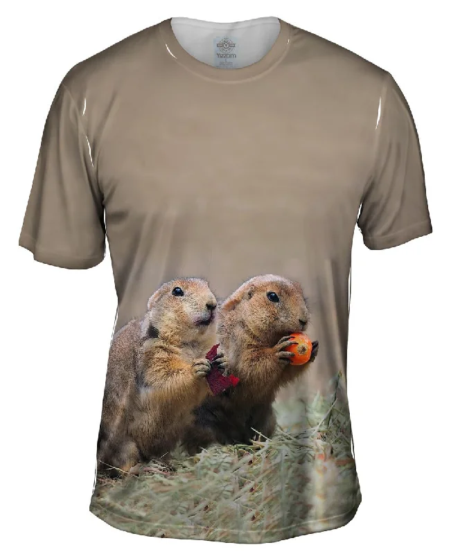 Fall Prairie Dogs