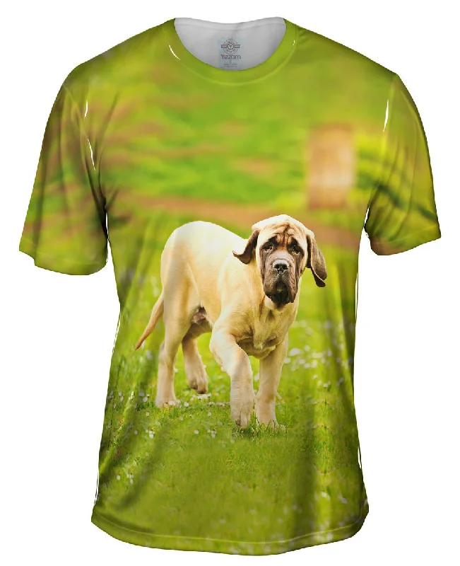 Courageous Mastiff