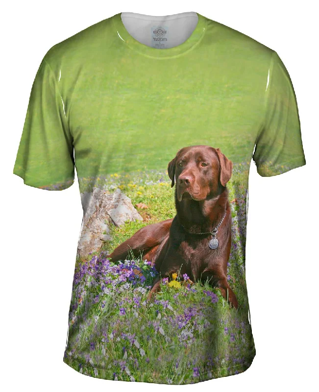 Chocolate Lab In Spring