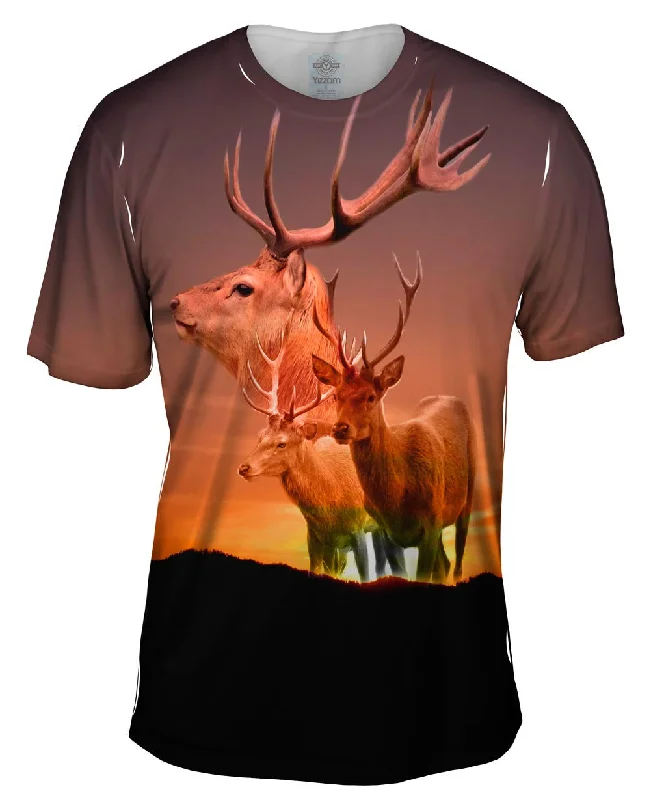 Deer Sunset