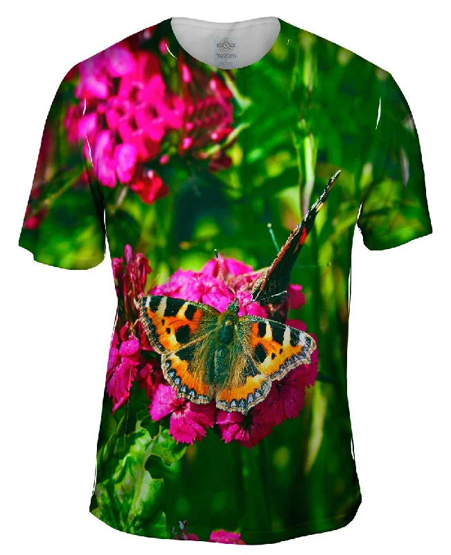 Enchanting Tortoise Shell Butterfly