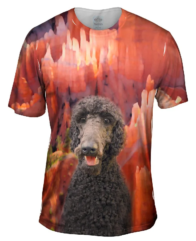 Canyon Poodle