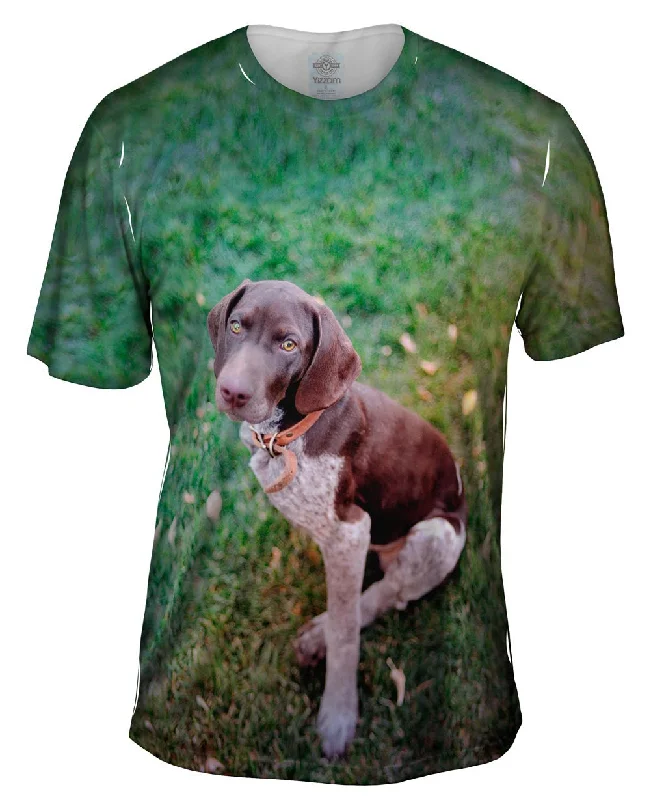 German Shorthaired Pointer Look